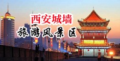 骚女被操国产中国陕西-西安城墙旅游风景区